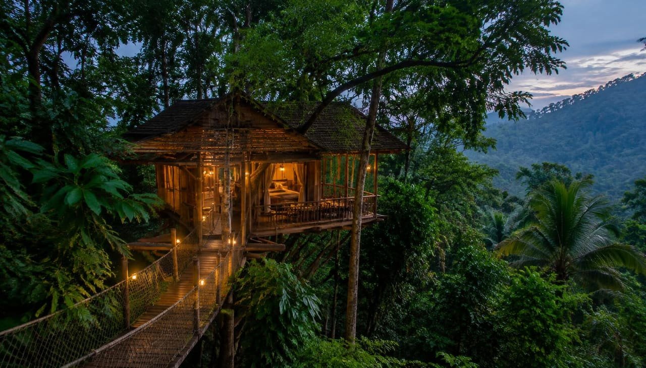 Wooden treehouse lit up at dusk in a Kerala rainforest canopy